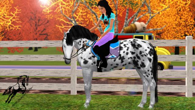 Wpis simseyhorses