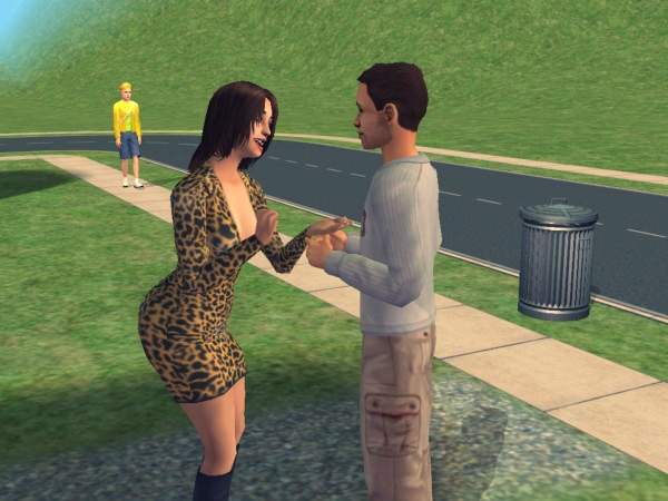 Wpis virtualsims