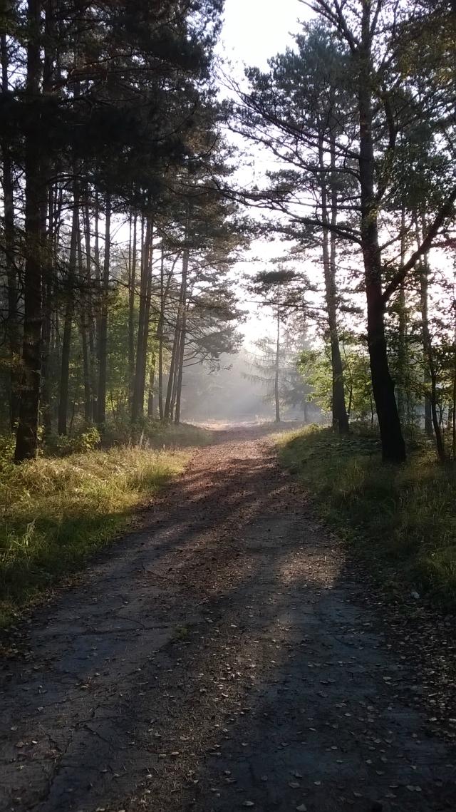 Lost.