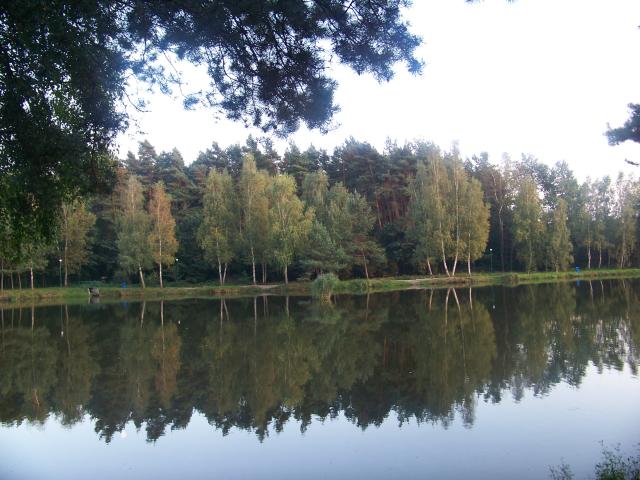 My Passion ~ Photography.