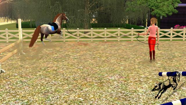 Wpis simseyhorses