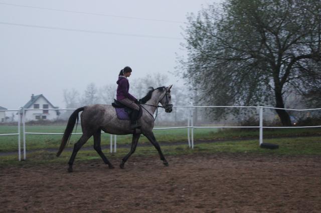 Tasza