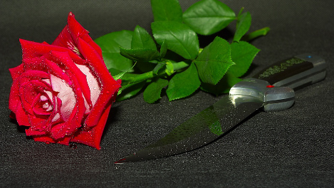 Wpis anonymousforyou
