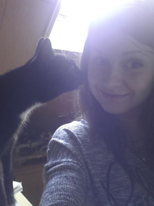 Wpis maatys