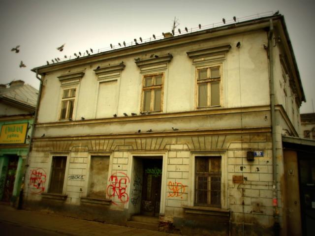 Janusz w Krakowie 2