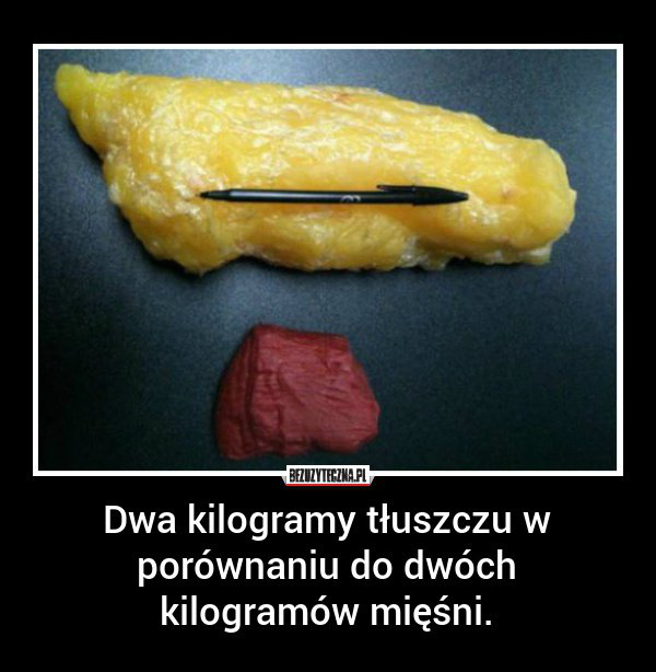 Poniedziaek