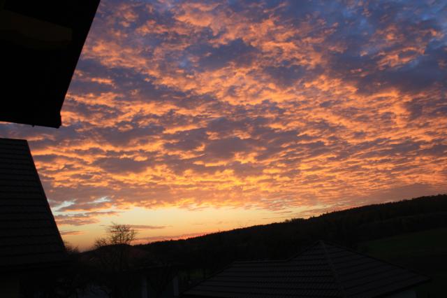 Wpis natussfoto