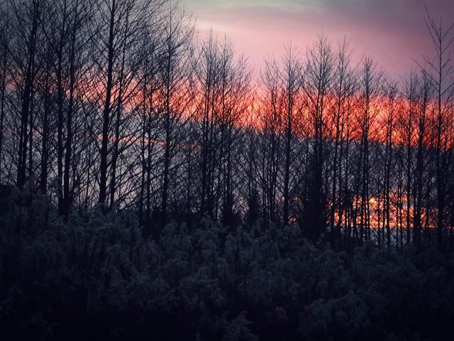 Narnia