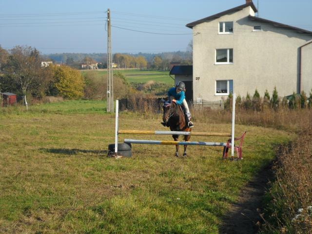 skoczek :*