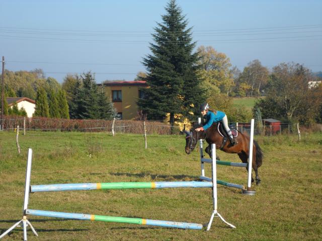Wpis kolorowykotek2