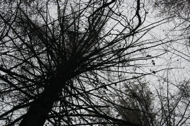 Wpis natussfoto