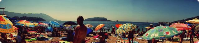 paradise