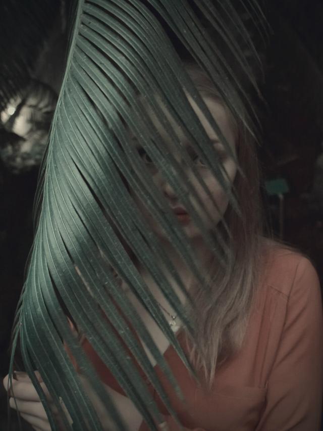 palm