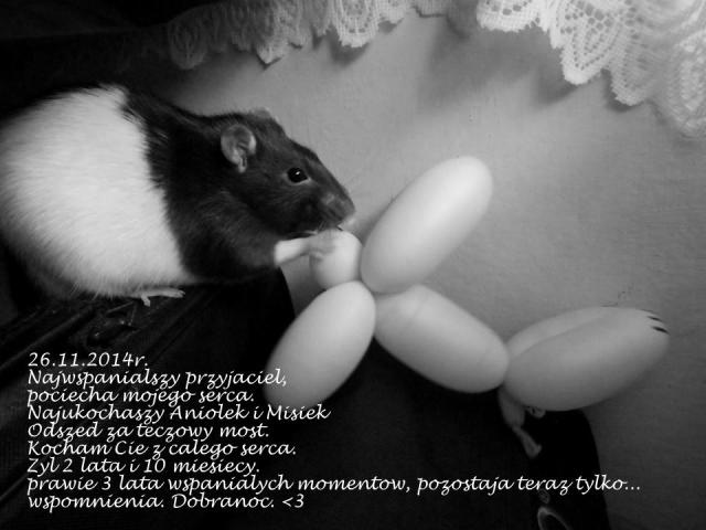 Odszed za tczowy Most.