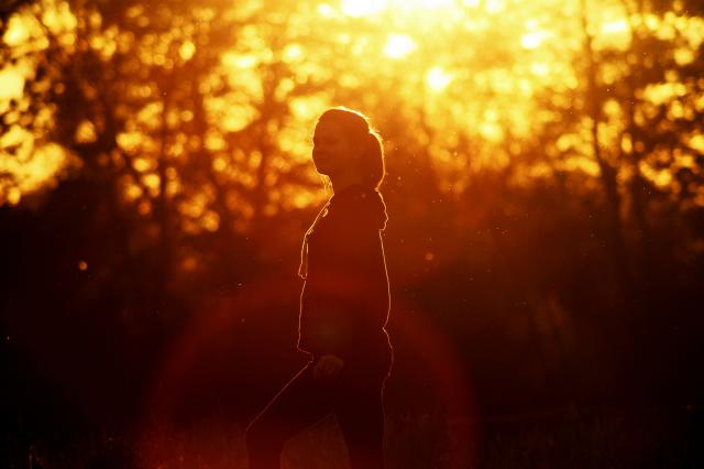sunset