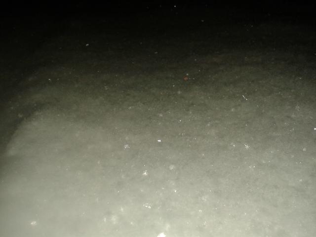 nieg