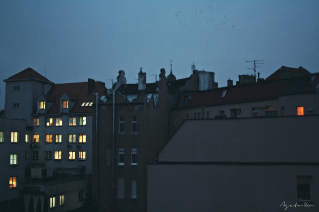 LIGHTS.