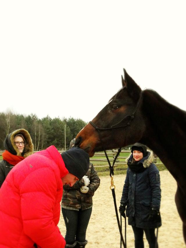 Szkolenie z Gyul-kontynuacja.