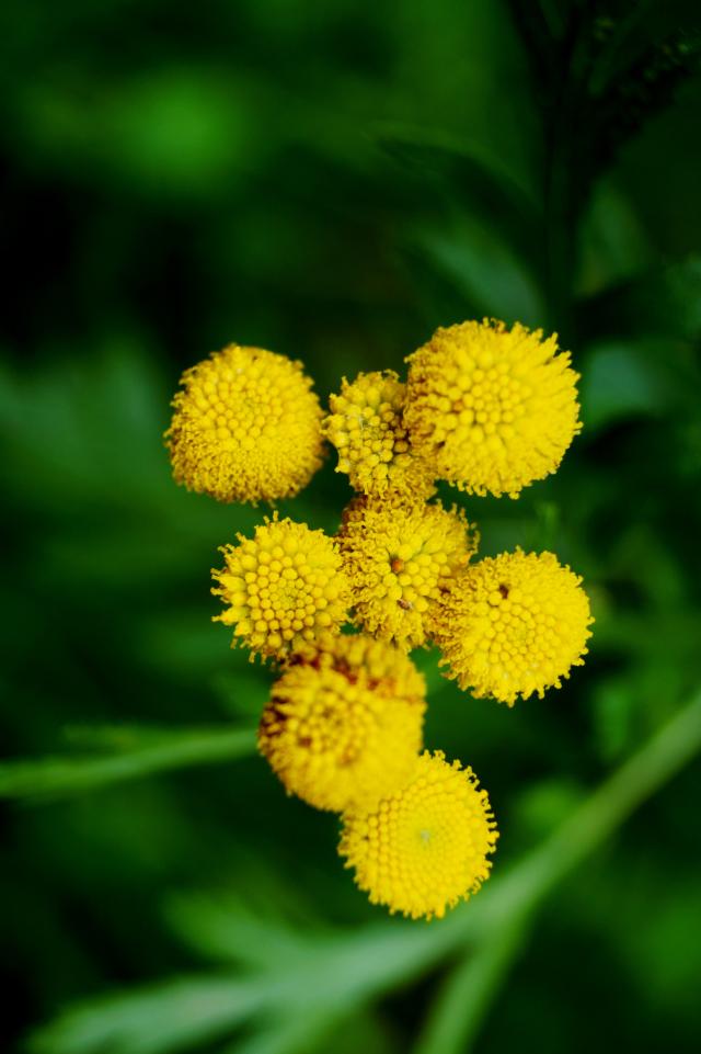 Wpis aviorphoto