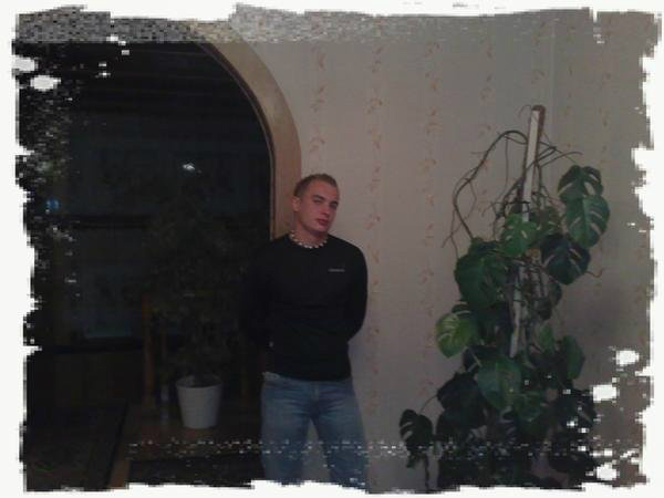 dysk