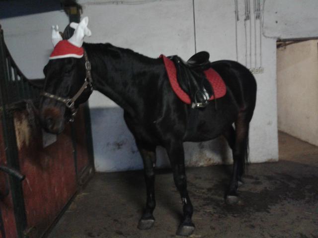 Wpis konicaaa