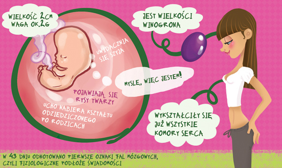 Wpis bedegozjadla