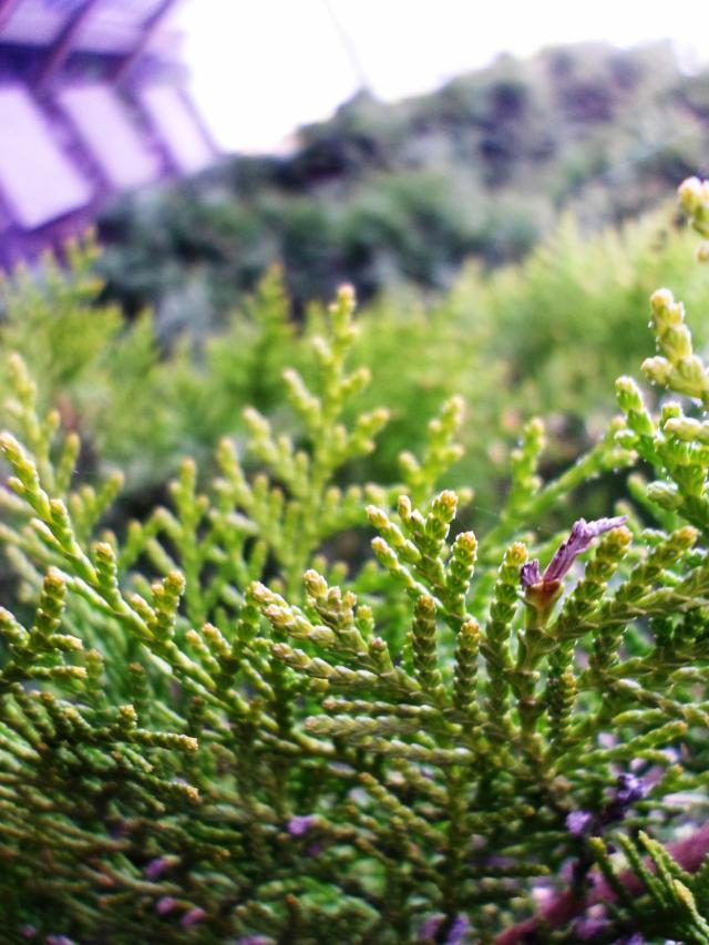 Wpis soniaphotography