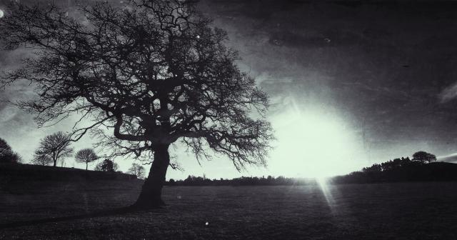 Death nature 