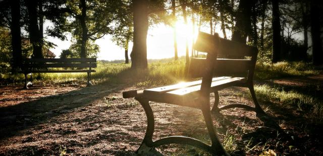 bench