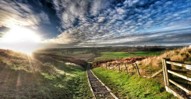landscape