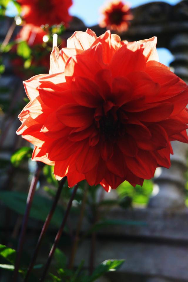 Wpis aviorphoto