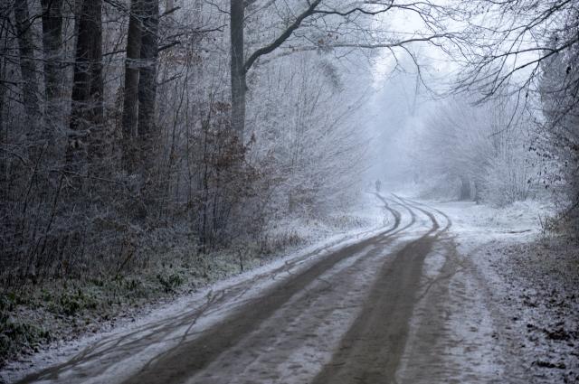 Into the snow.