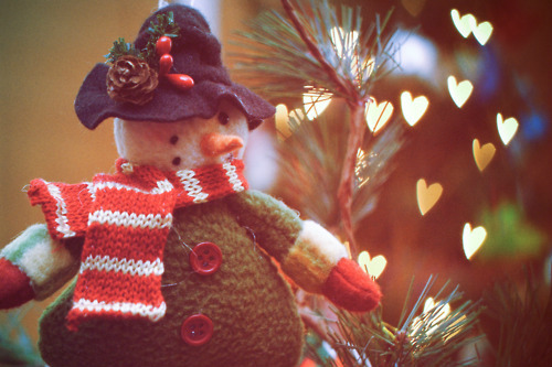 13.12.2014r