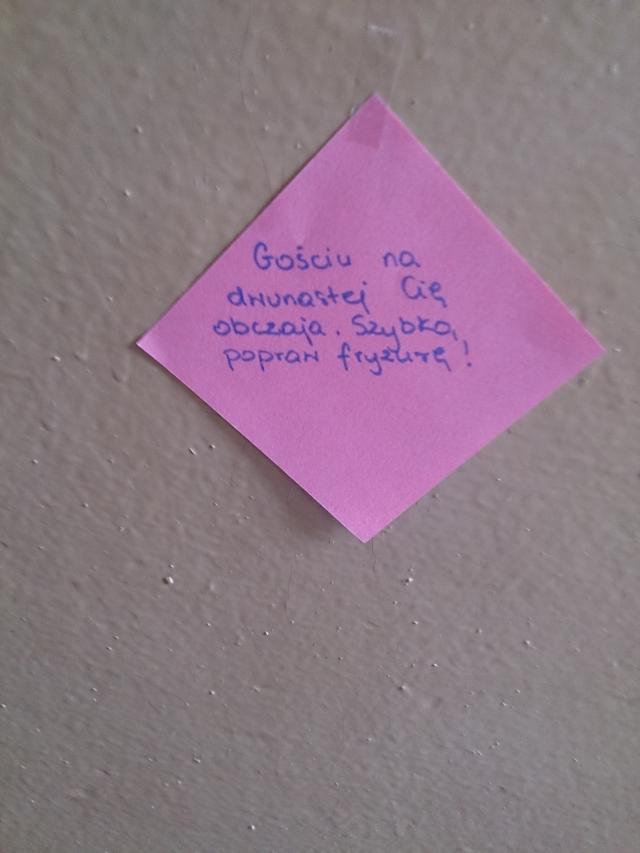 Wpis kotmart
