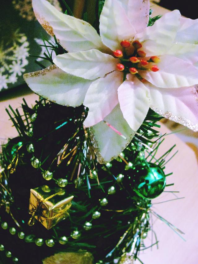 Christmas are coming