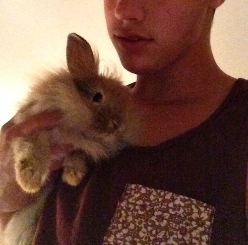 Wpis chlopczykzsiekiera1