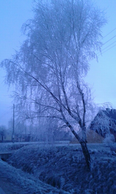 Wpis klimatycznaaa
