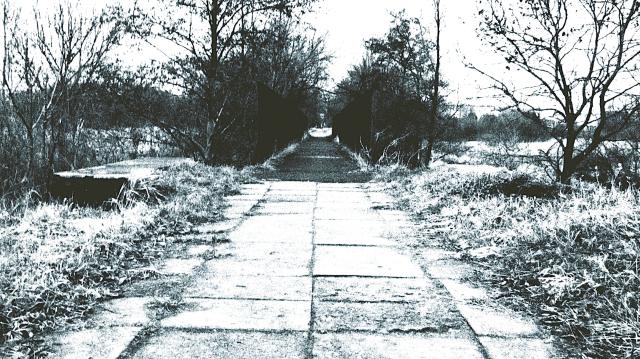 bridge