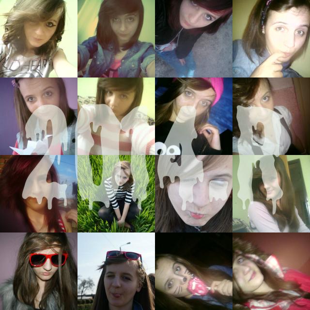 Wpis pinaxdxd