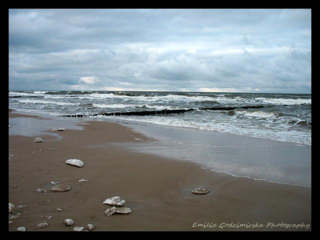 Chaupy 2011