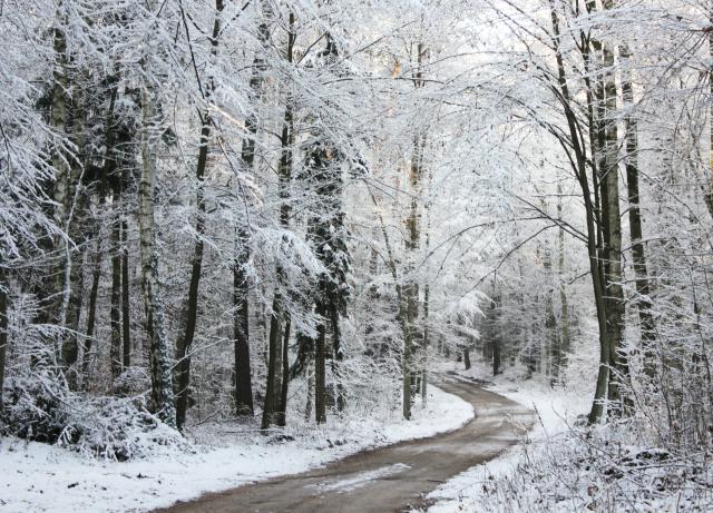 let it snow 