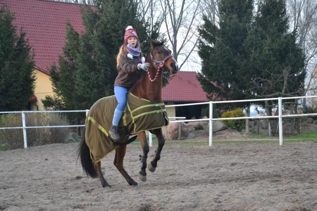 1.Zy kucyk!