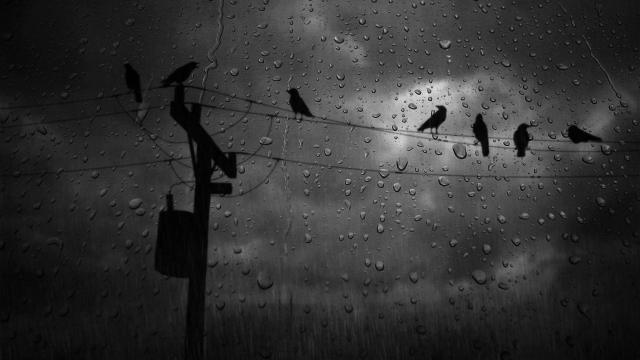 Cry of Fear