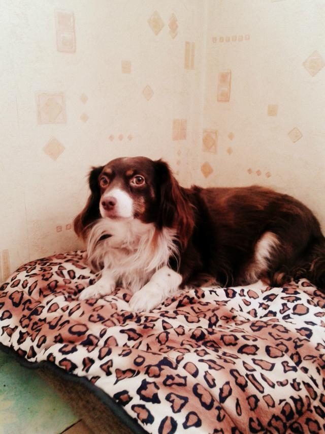 Moja ruda 