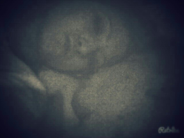 Wpis tratatataa