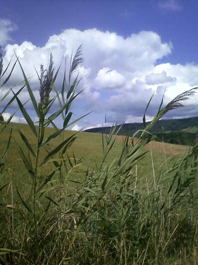 Bieszczady 