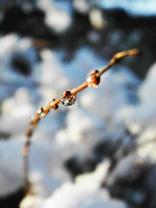 Winter 2014/2015