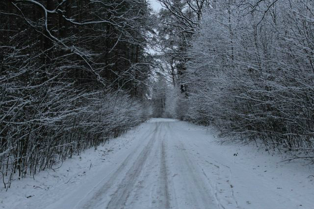 winter