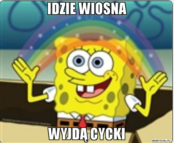 Cycki!