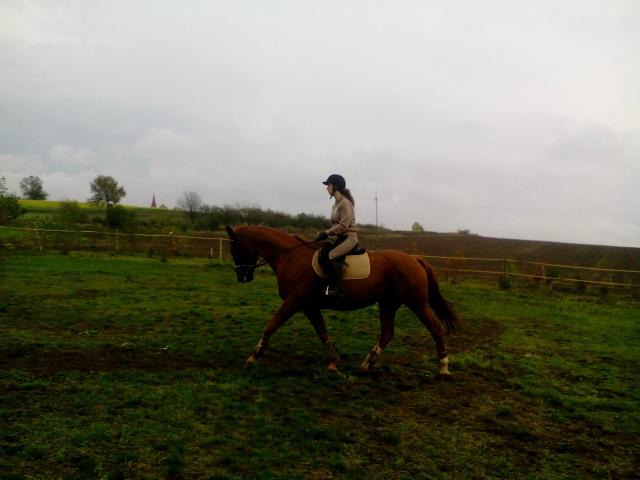 Denua :D